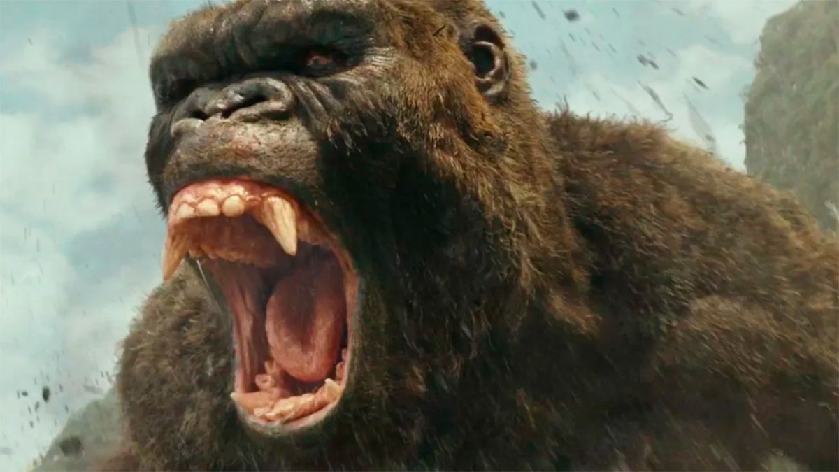 Kong